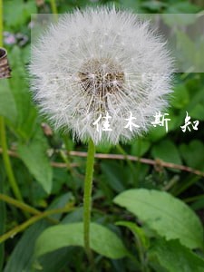 佳木斯知名企业破产清算律师咨询 佳木斯知名企业破产清算律师咨询