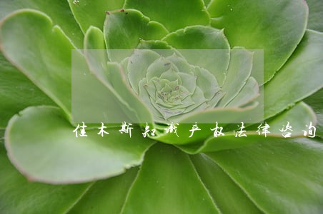 佳木斯知识产权法律咨询 佳木斯知识产权法律咨询