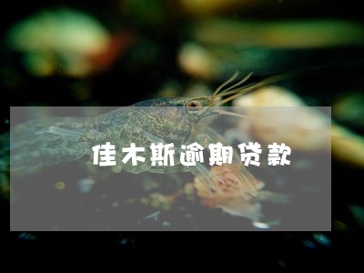 佳木斯逾期贷款 佳木斯逾期贷款