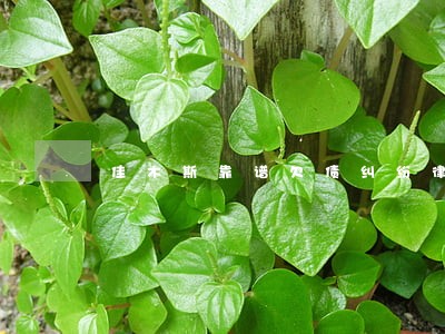 佳木斯靠谱欠债纠纷律师排名 佳木斯靠谱欠债纠纷律师排名