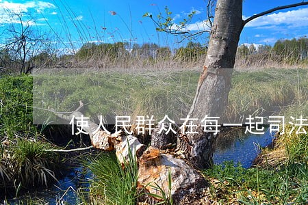 使人民群众在每一起司法案件中 使人民群众在每一起司法案件中