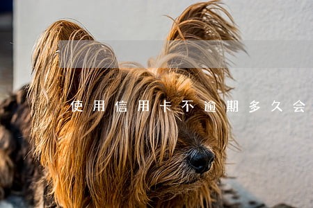 使用信用卡不逾期多久会上征信 使用信用卡不逾期多久会上征信