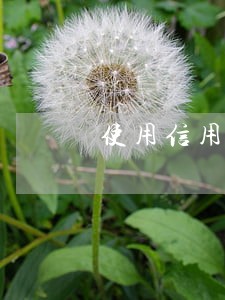 使用信用卡逾期 使用信用卡逾期