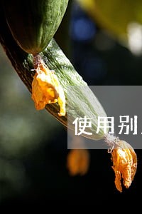 使用别人信用卡逾期还不上怎么办 使用别人信用卡逾期还不上怎么办