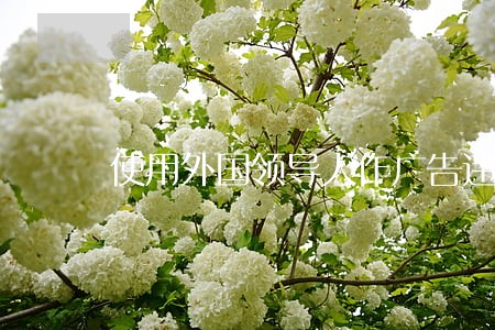使用外国领导人作广告违法吗 使用外国领导人作广告违法吗