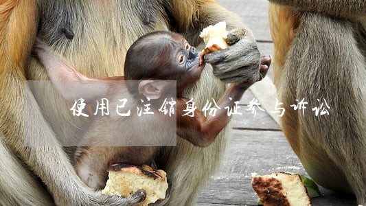 使用已注销身份证参与诉讼 使用已注销身份证参与诉讼