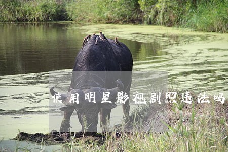 使用明星影视剧照违法吗 使用明星影视剧照违法吗
