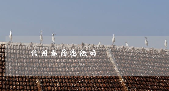 使用春药违法吗 使用春药违法吗