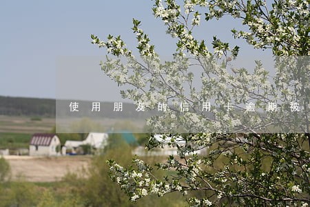 使用朋友的信用卡逾期被告 使用朋友的信用卡逾期被告