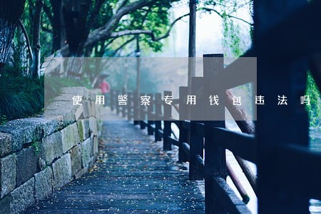 使用警察专用钱包违法吗 使用警察专用钱包违法吗