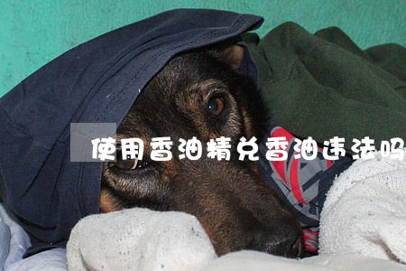 使用香油精兑香油违法吗