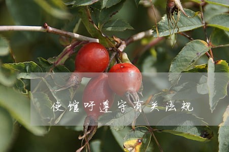使馆吁遵守有关法规 使馆吁遵守有关法规