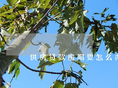 供房贷款逾期要怎么办理 供房贷款逾期要怎么办理
