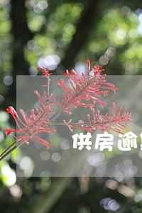 供房逾期还想买2套房贷 供房逾期还想买2套房贷