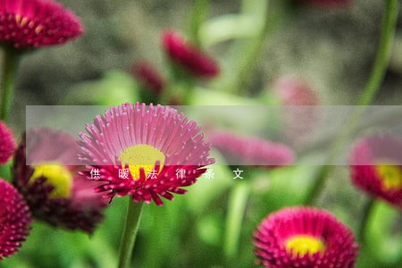 供暖法律条文