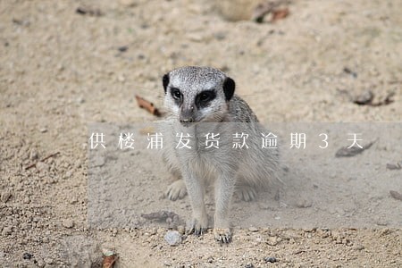 供楼浦发货款逾期3天 供楼浦发货款逾期3天
