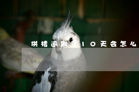 供楼逾期了10天会怎么样 供楼逾期了10天会怎么样