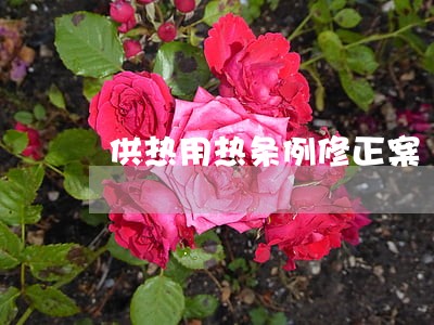 供热用热条例修正案 供热用热条例修正案