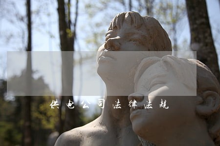 供电公司法律法规 供电公司法律法规