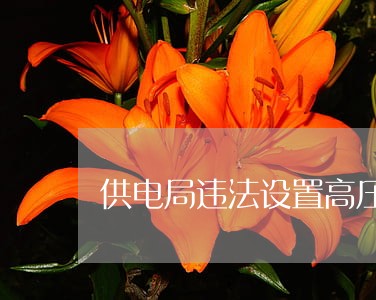 供电局违法设置高压线