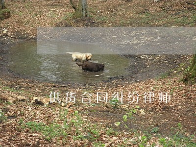 供货合同纠纷律师 供货合同纠纷律师