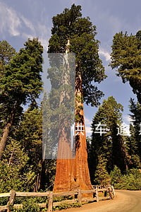 供车逾期4天会有问题吗 供车逾期4天会有问题吗
