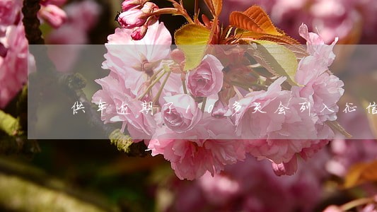 供车逾期了10多天会列入征信吗