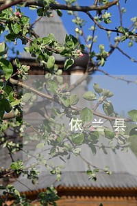依兰县土地赔偿律师