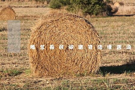 依兰县民间借贷法律咨询热线