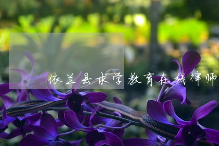 依兰县求学教育在线律师 依兰县求学教育在线律师