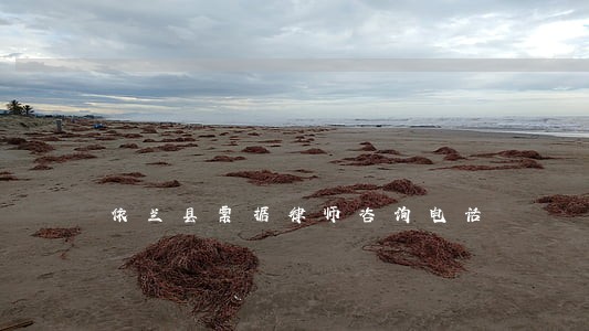 依兰县票据律师咨询电话 依兰县票据律师咨询电话