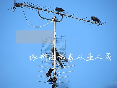 依刑法证券从业人员