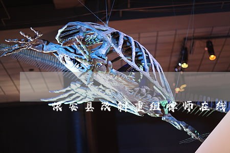 依安县改制重组律师在线免费咨询 依安县改制重组律师在线免费咨询