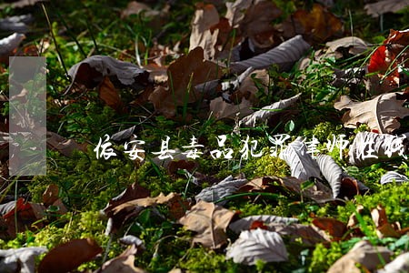 依安县毒品犯罪律师在线免费咨询