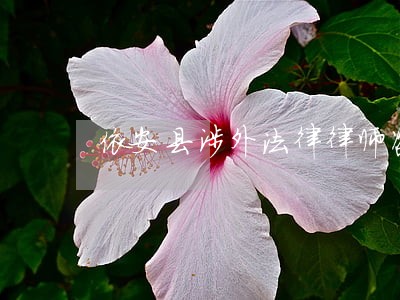 依安县涉外法律律师咨询电话 依安县涉外法律律师咨询电话