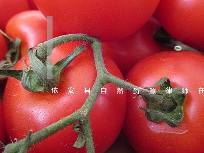 依安县自然资源律师在线免费咨询 依安县自然资源律师在线免费咨询