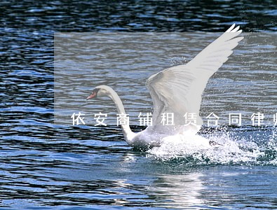 依安商铺租赁合同律师 依安商铺租赁合同律师