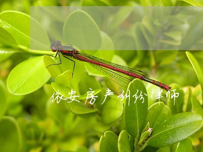 依安房产纠纷律师 依安房产纠纷律师