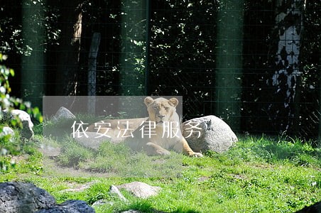 依安法律服务