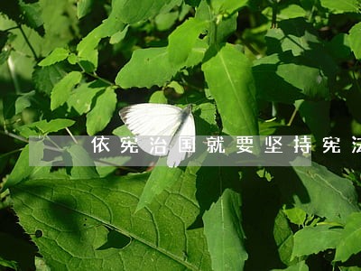 依宪治国就要坚持宪法规定的 依宪治国就要坚持宪法规定的