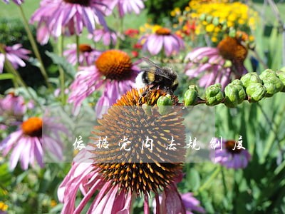依据党内法规制度 依据党内法规制度