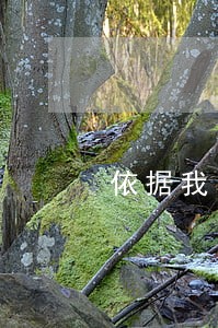 依据我国法侓法规的规定 依据我国法侓法规的规定