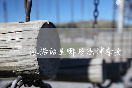 依据的是哪些法律条文 依据的是哪些法律条文