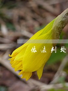 依法判处