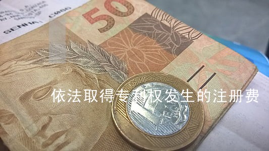 依法取得专利权发生的注册费 依法取得专利权发生的注册费