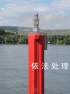 依法处理违法行为人和犯罪嫌疑人 依法处理违法行为人和犯罪嫌疑人
