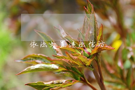 依法处置违法信访 依法处置违法信访