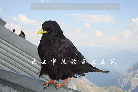 依法审批的违法建筑 依法审批的违法建筑