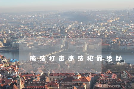 依法打击违法犯罪活动 依法打击违法犯罪活动