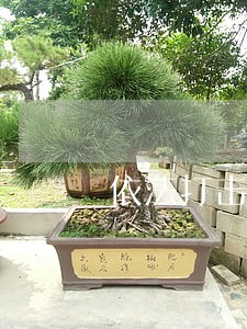 依法打击违法犯罪活动的主体 依法打击违法犯罪活动的主体